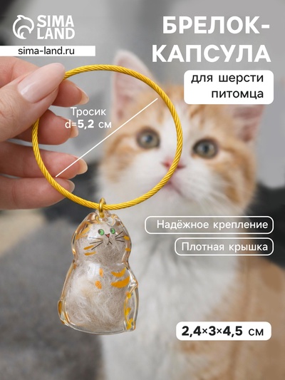 Брелок - обвес на сумку для шерсти кошачьей на тросе для ключей, рюкзака «Полосатый котик», капсула с секретом, трос d=5.2 см, 2.4×3×4.5 см