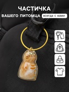 Брелок - обвес на сумку для шерсти кошачьей на тросе для ключей, рюкзака «Полосатый котик», капсула с секретом, трос d=5.2 см, 2.4×3×4.5 см - Фото 2