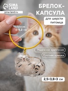 Брелок для шерсти кошачьей на тросе для ключей, рюкзака «Полосатый котик спит», капсула с секретом, трос d=5.2 см 2.5×3.8×3 см 10914998