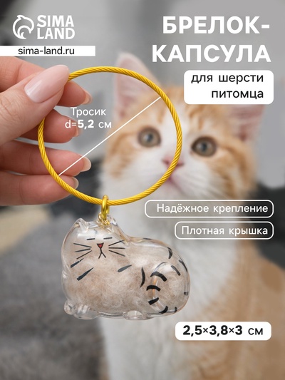 Брелок - обвес для сумки для шерсти кошачьей на тросе для ключей, рюкзака «Полосатый котик спит», капсула с секретом, трос d=5.2 см 2.5×3.8×3 см