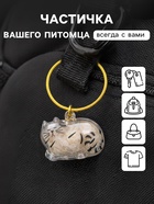 Брелок - обвес для сумки для шерсти кошачьей на тросе для ключей, рюкзака «Полосатый котик спит», капсула с секретом, трос d=5.2 см 2.5×3.8×3 см - Фото 2