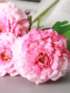 Цветы искусственные «Хризантема волнистая галант», d=8 см, h=58 см, розовые 10935355