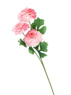 Цветы искусственные «Хризантема волнистая галант», d=8 см, h=58 см, розовые  (артикул 10935355)  большой выбор товаров оптом и в розницу по низким ценам с доставкой