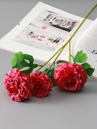 Цветы искусственные «Хризантема волнистая галант», d=8 см, h=58 см, пыльно-розовые 10935356