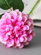 Цветы искусственные «Хризантема Амадея», d=9 см, h=46 см, сиреневые 10935358