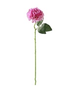Цветы искусственные «Хризантема Амадея», d=9 см, h=46 см, сиреневые - Фото 10