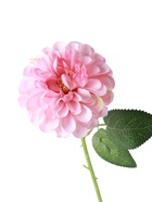 Цветы искусственные «Хризантема Амадея», d=9 см, h=46 см, розовые - Фото 11