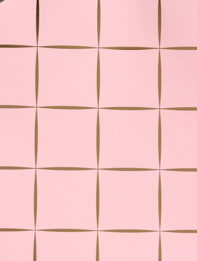 Сумка переноска для цветов, влагостойкая, розовая, с тиснением, 22×10.5×13.5±5% см
