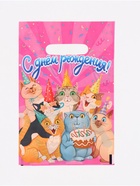 Подарочный пакет, полиэтиленовый, с вырубной ручкой, «С Днём рождения»,  20 х 30 см - фото 120954848