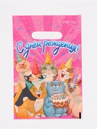 Подарочный пакет, полиэтиленовый, с вырубной ручкой, «С Днём рождения»,  20 х 30 см - фото 120954850