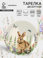 УЦЕНКА Тарелка десертная Доляна «Зайка», d=20.3, фарфор, белая - Фото 1
