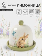 УЦЕНКА Лимонница Доляна «Зайка», доломит, 9×9 см, белая - Фото 1