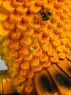 УЦЕНКА Копилка «Сова» 25×24×33 см 10982313