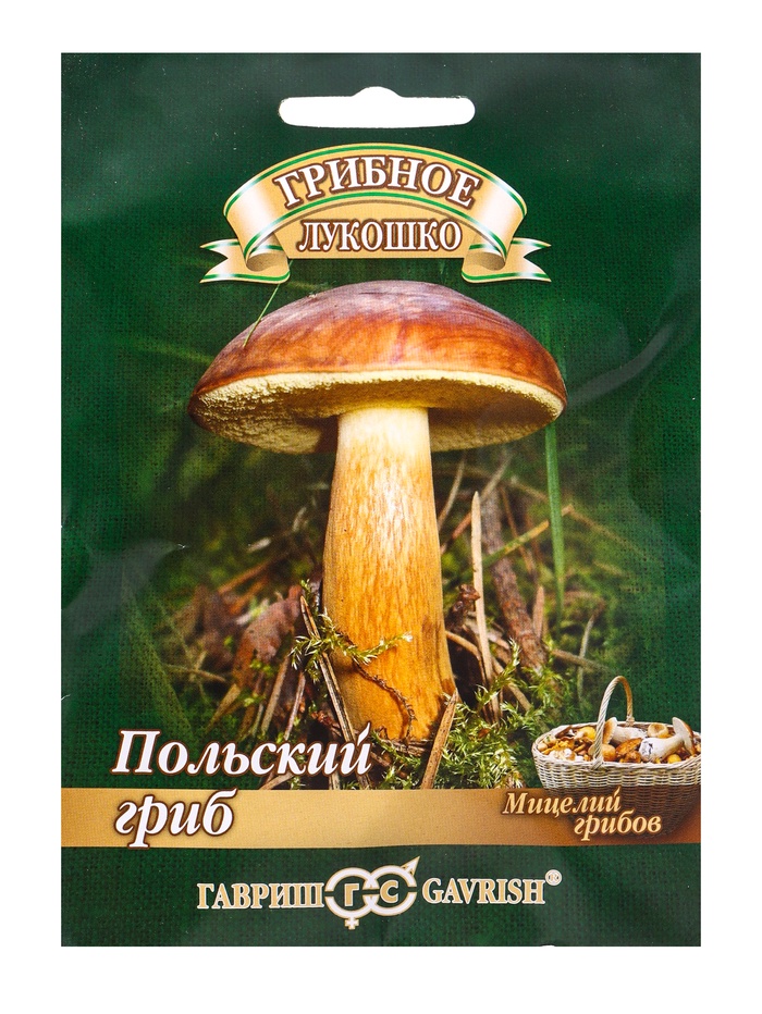 Польский гриб на зерновом субстрате, больш. пак. 15 мл