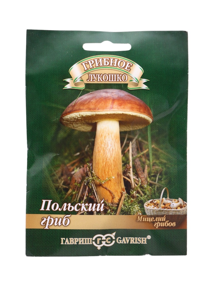 Польский гриб на зерновом субстрате, больш. пак. 15 мл - Фото 1