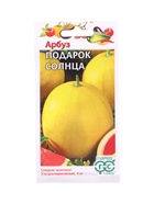 Семена Арбуз «Подарок солнца», 5 шт., ультраскороспелый, «Гавриш» - Фото 1