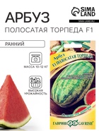 Семена Арбуз «Полосатая торпеда», F1, 5 шт., «Гавриш» - Фото 1
