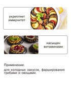 Семена Баклажан «Чёрный витязь», F1, 10 шт., ранний, «Гавриш» - Фото 3