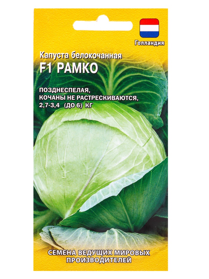 Семена Капуста белокочанная «Рамко», F1, 10 шт., поздняя, (Голландия)