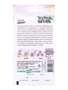 Семена Кориандр «Дебют», 2 г, «Гавриш» (комплект 3 шт) - фото 68279291