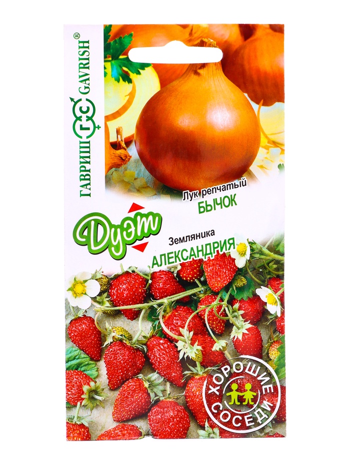 Семена Лук репч. Бычок 0,5 г+Земляника Александрия 0,03 г серия Дуэт Хорошие соседи