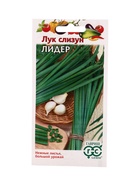 Семена Лук слизун Лидер 0,5 г 10965132