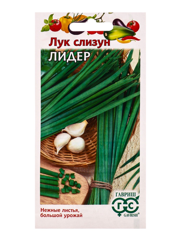 Семена Лук слизун Лидер 0,5 г