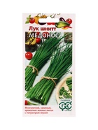 Семена Лук шнитт Медонос  0,5 г 10965133
