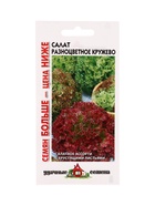 Семена Салат Разноцветное кружево 1,0 г смесь Уд. с. Семян больше 10965224