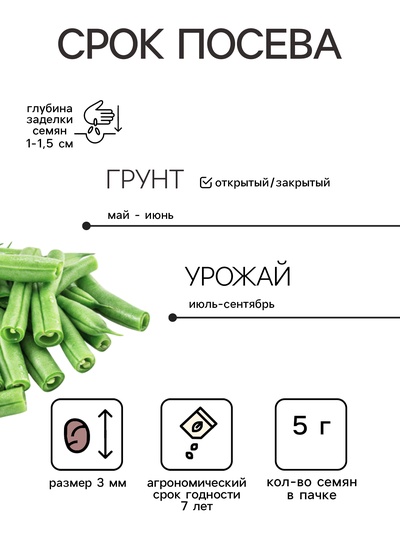 Семена Фасоль «Шоколадница», 5.0 г, «Гавриш»