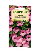 Семена цветов Азарина Музыка моря * 0,01 г 10965287