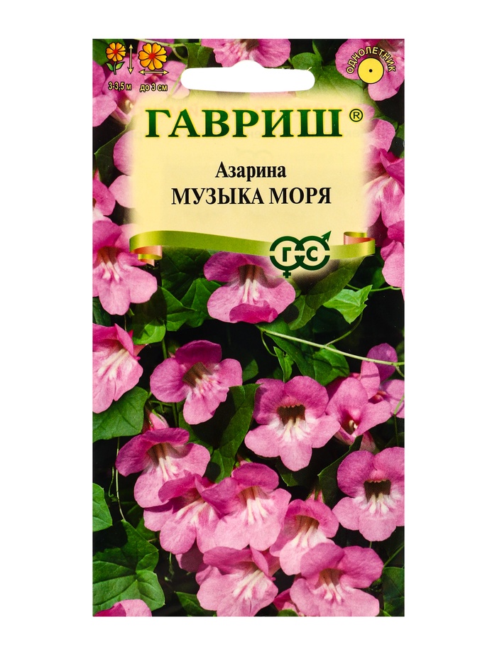 Семена цветов Азарина Музыка моря * 0,01 г