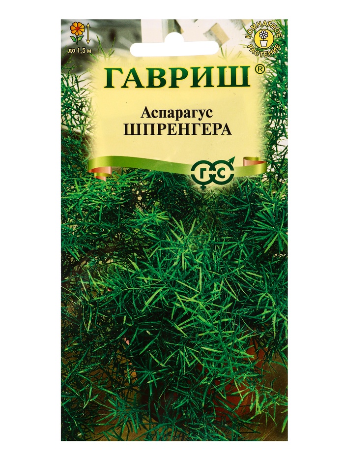 Семена цветов Аспарагус густоцветковый Шпренгера*  4 шт.