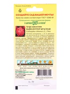 Семена цветов Астра Вайолеттер красная, однолетняя (пионовидная) 0,3 г  (артикул 10965294)  большой выбор товаров оптом и в розницу по низким ценам с доставкой