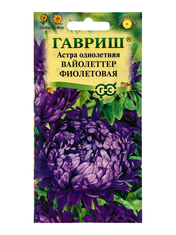 Семена цветов Астра Вайолеттер фиолетовая, однолетняя (пионовидная) 0,3 г - Фото 1