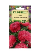 Семена цветов Астра Краллен Камео, однолетняя (коготковая темно-роз.) 0,3 г 10965298