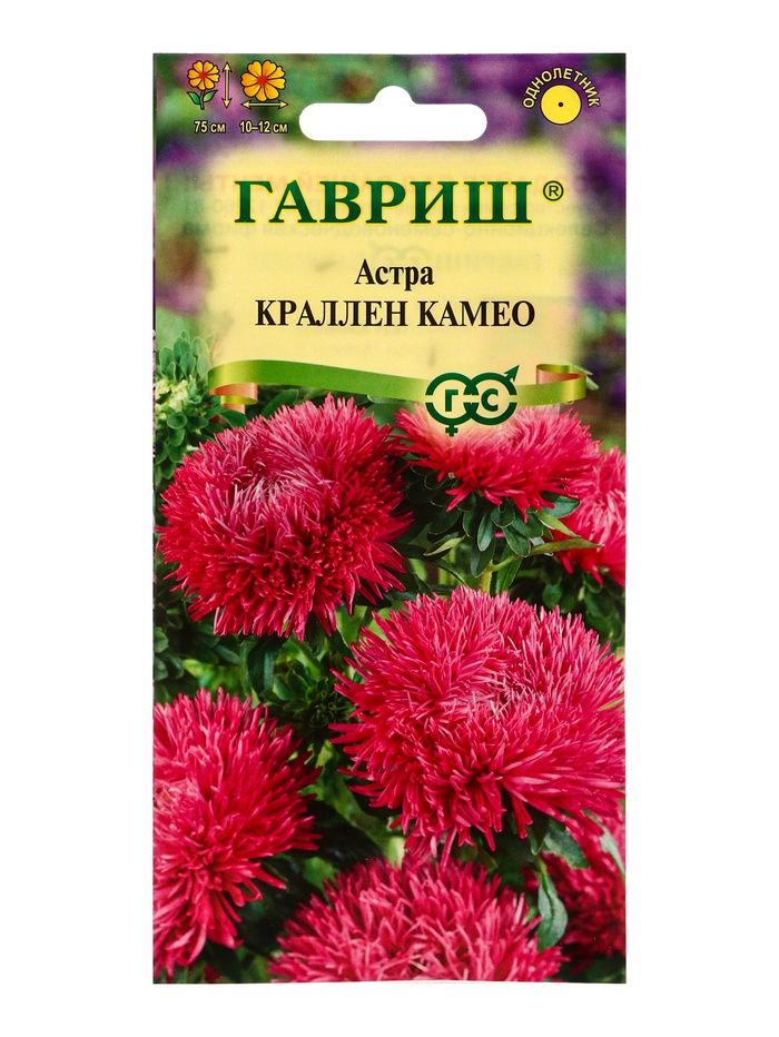 Семена цветов Астра Краллен Камео, однолетняя (коготковая темно-роз.) 0,3 г