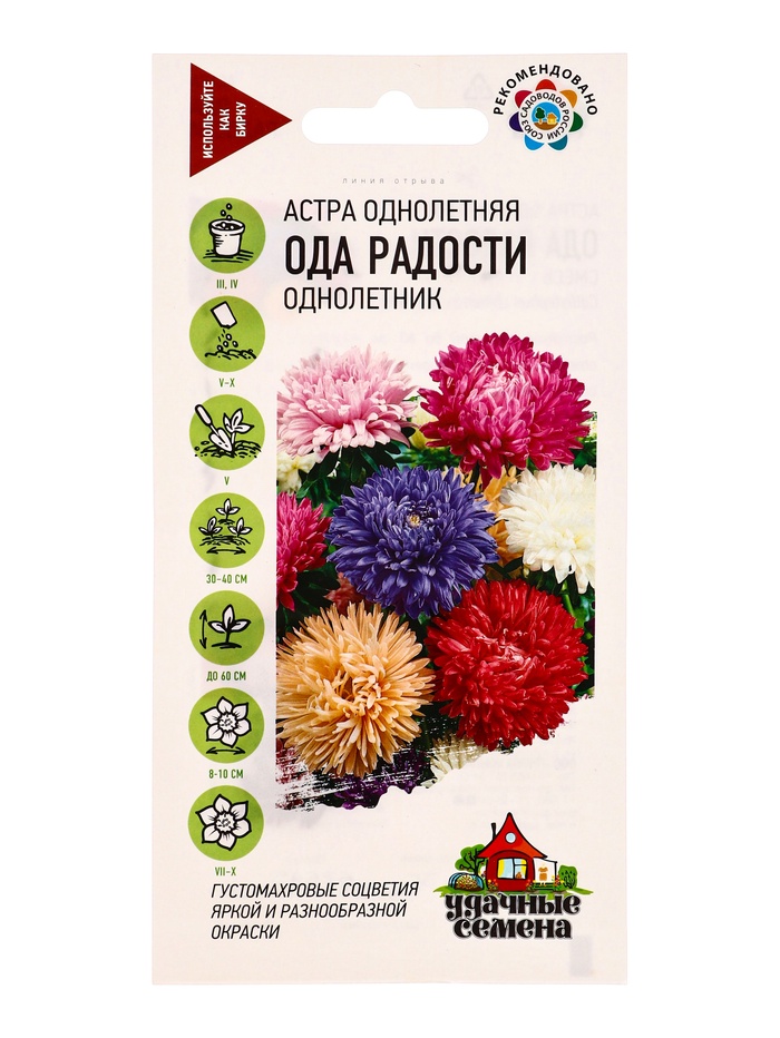 Семена цветов Астра Ода радости, однолетняя (смесь) 0,3 г Уд. с.