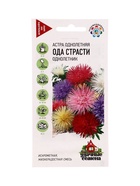 Семена цветов Астра Ода страсти, однолетняя (игольчатая) смесь 0,3 г Уд. с. 10965302
