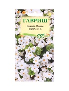 Семена цветов Бакопа Рафаэль 3 шт. гранул. пробирка 10965307