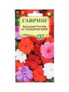 Семена цветов Бальзамин Тропический F1 (Уоллера) смесь гибридов* 4 шт. 10965308