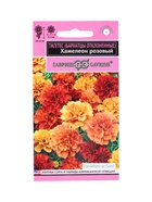 Семена цветов Бархатцы откл. Хамелеон розовый (Тагетес)* 5 шт. серия Эксклюзив 10965311