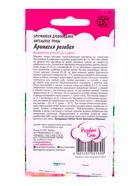 Семена цветов Бругмансия Аромагия розовая  3 шт. серия Розовые сны - фото 809451017