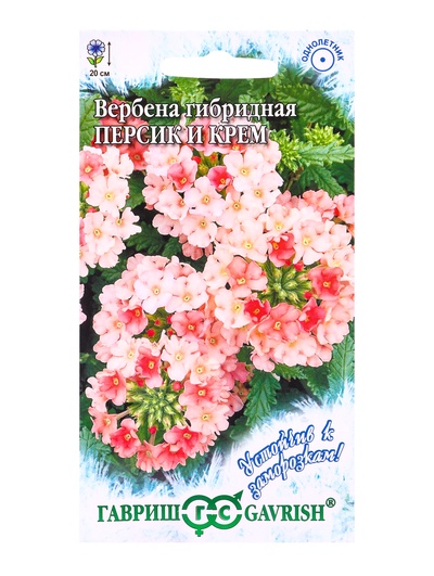 Семена цветов Вербена Персик и Крем, гибридная* 0,05 г серия Устойчив к заморозкам!