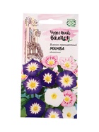 Семена цветов Вьюнок трехцветный Мамба, смесь 0,5 г серия Чудесный балкон 10965331