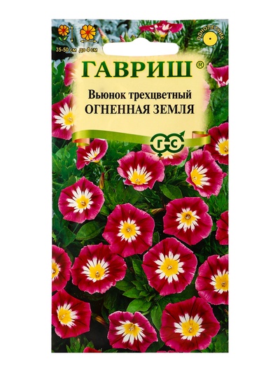 Семена цветов Вьюнок трехцветный «Огненная земля» 0.5 г