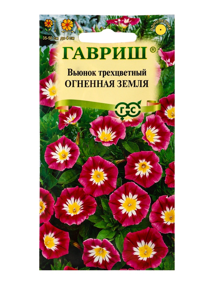 Семена цветов Вьюнок трехцветный Огненная земля 0,5 г