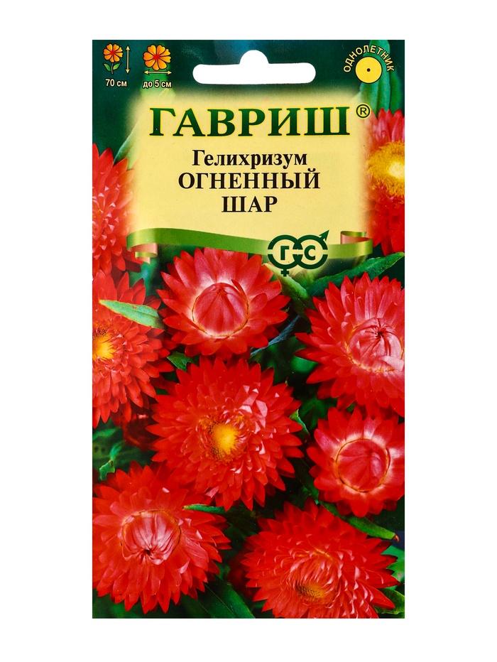 Семена цветов Гелихризум Огненный шар* 0,1 г - Фото 1