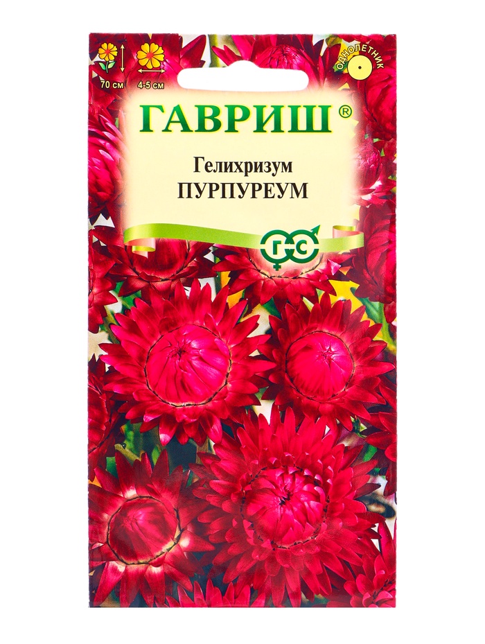 Семена цветов Гелихризум «Пурпуреум» 0.1 г - Фото 1