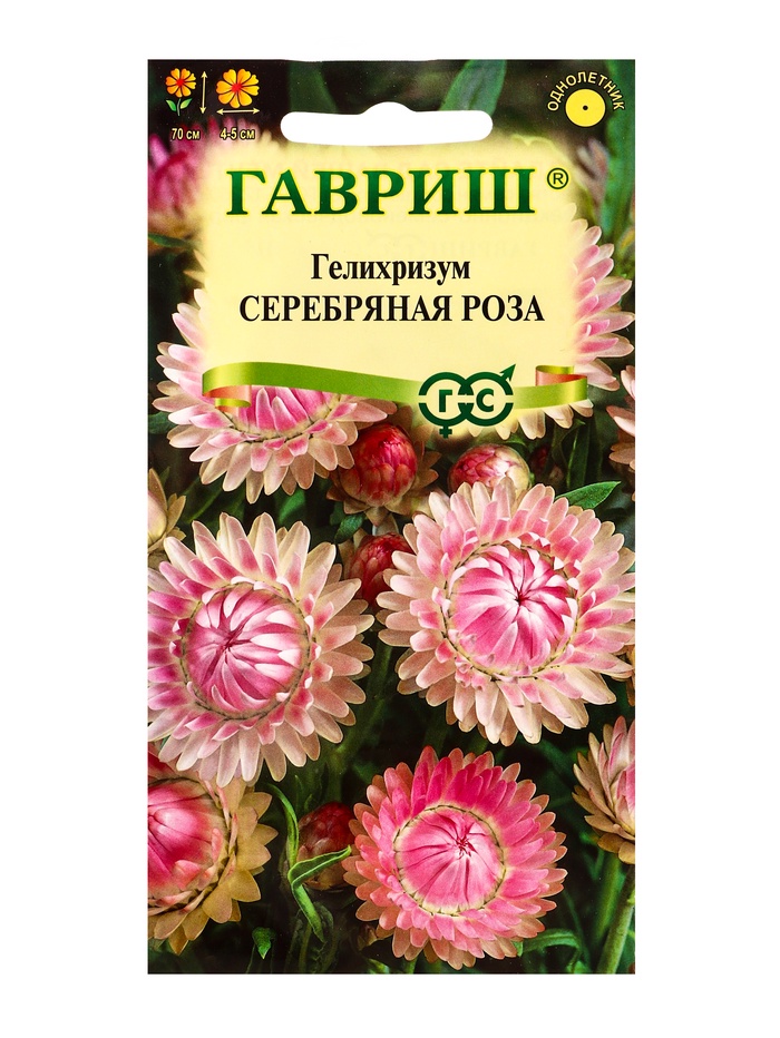 Семена цветов Гелихризум Серебряная роза* 0,01 г DH - Фото 1